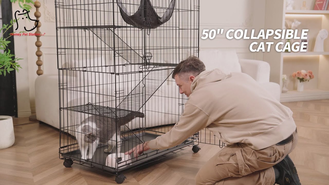 Unleash the Magic of the 50-Inch Foldable Cat Cage! 🐾