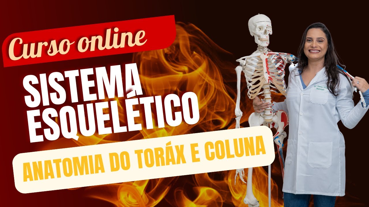 Curso Online de Sistema esquelético (Aula 4/5) - Anatomia do tórax e coluna