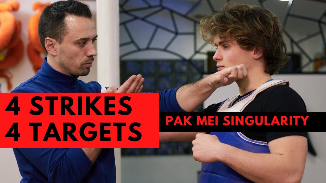 Pak Mei Kung fu - 4 strikes 4 target