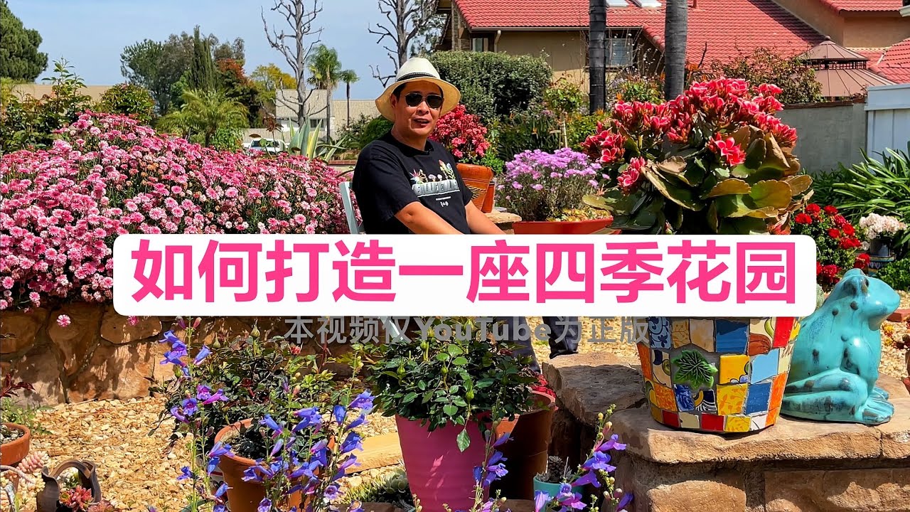 能有四季如春的花园还怕春天短暂？如何打造一座四季花园（园艺篇215）
