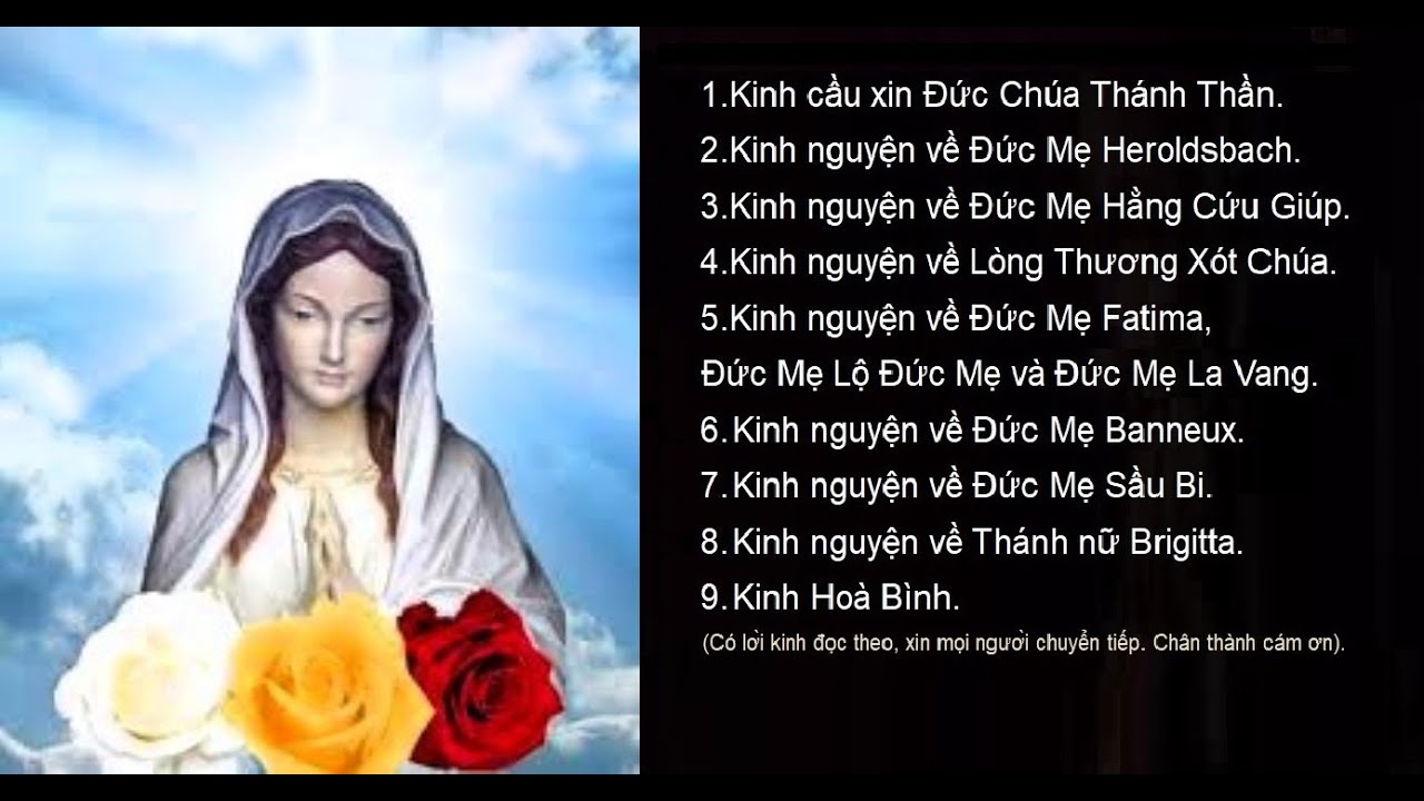 Nữ Vương Hoa Hồng