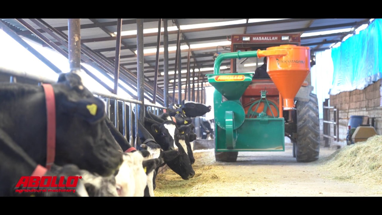ABOLLO - HAMMER MILL MACHINE WITH SHAFT