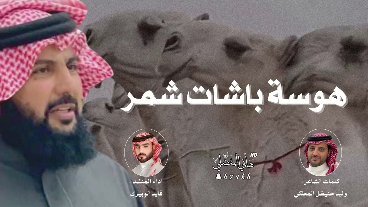 شيلة هوسة باشات شمر: اداء: قايد الوبيري