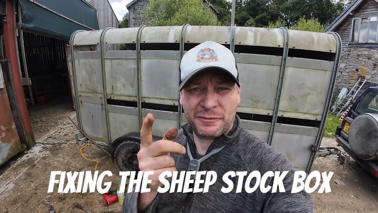 Fixing the sheep stock box cos it all went pear shaped !