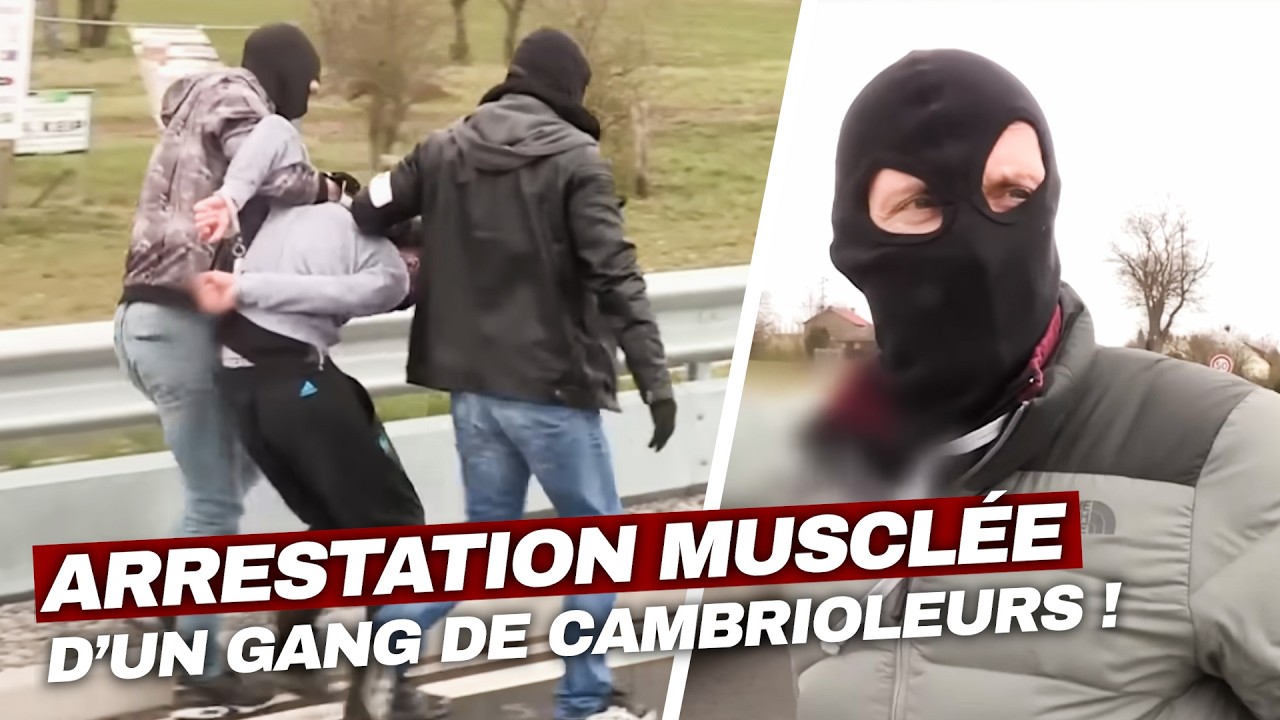 Arrestation musclée d'un gang de cambrioleurs 😱  | Enquête Choc