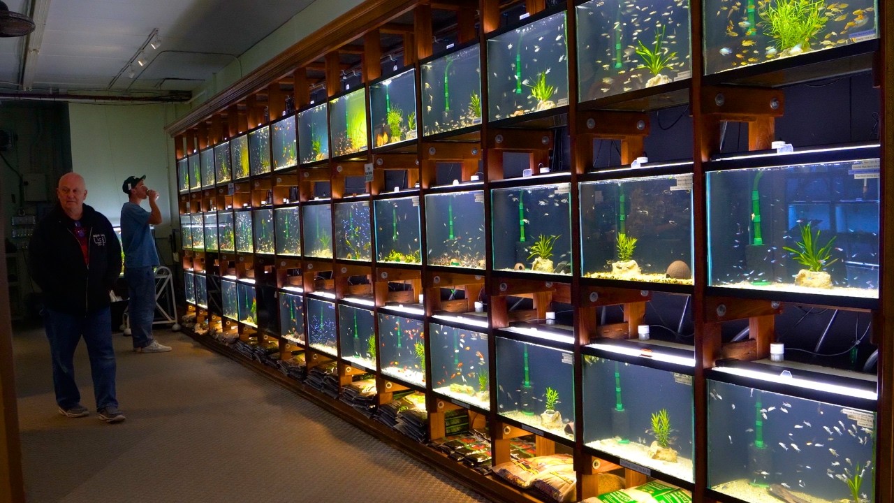 Полный тур по Aquarium Co-Op!