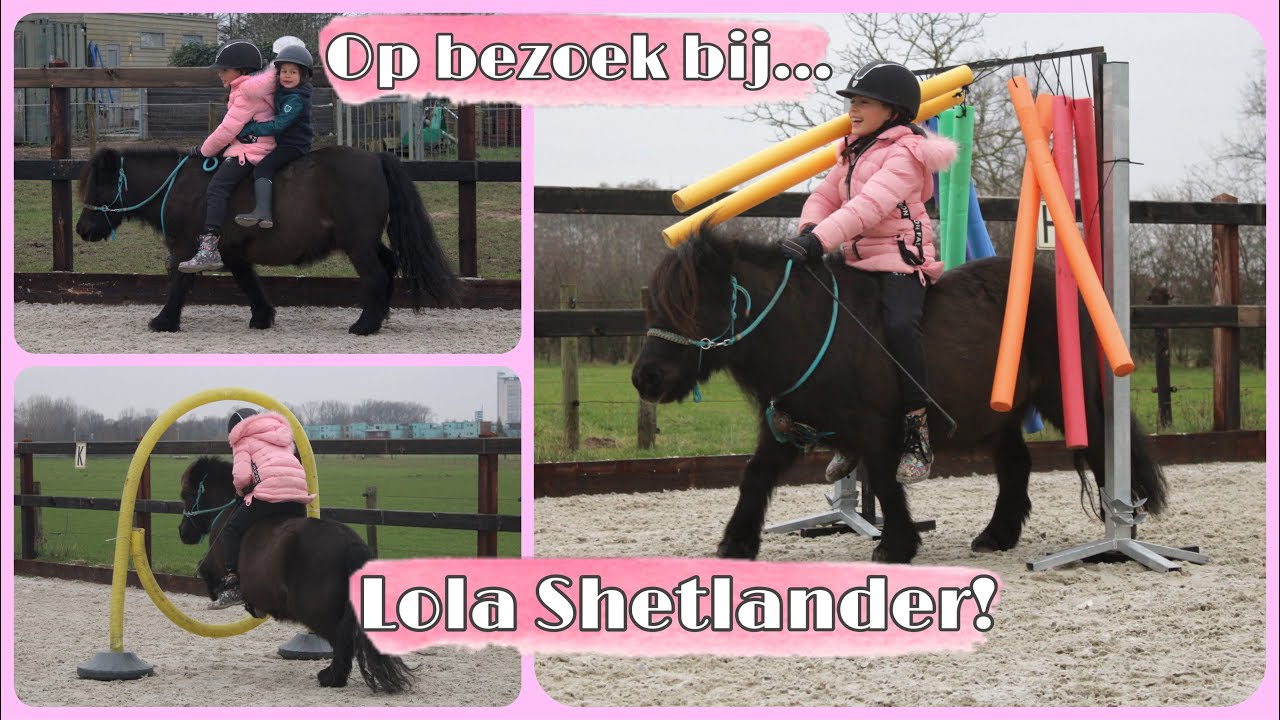 Op Bezoek Bij... LolaShetlander! | vlog #44 | My Little Ponies