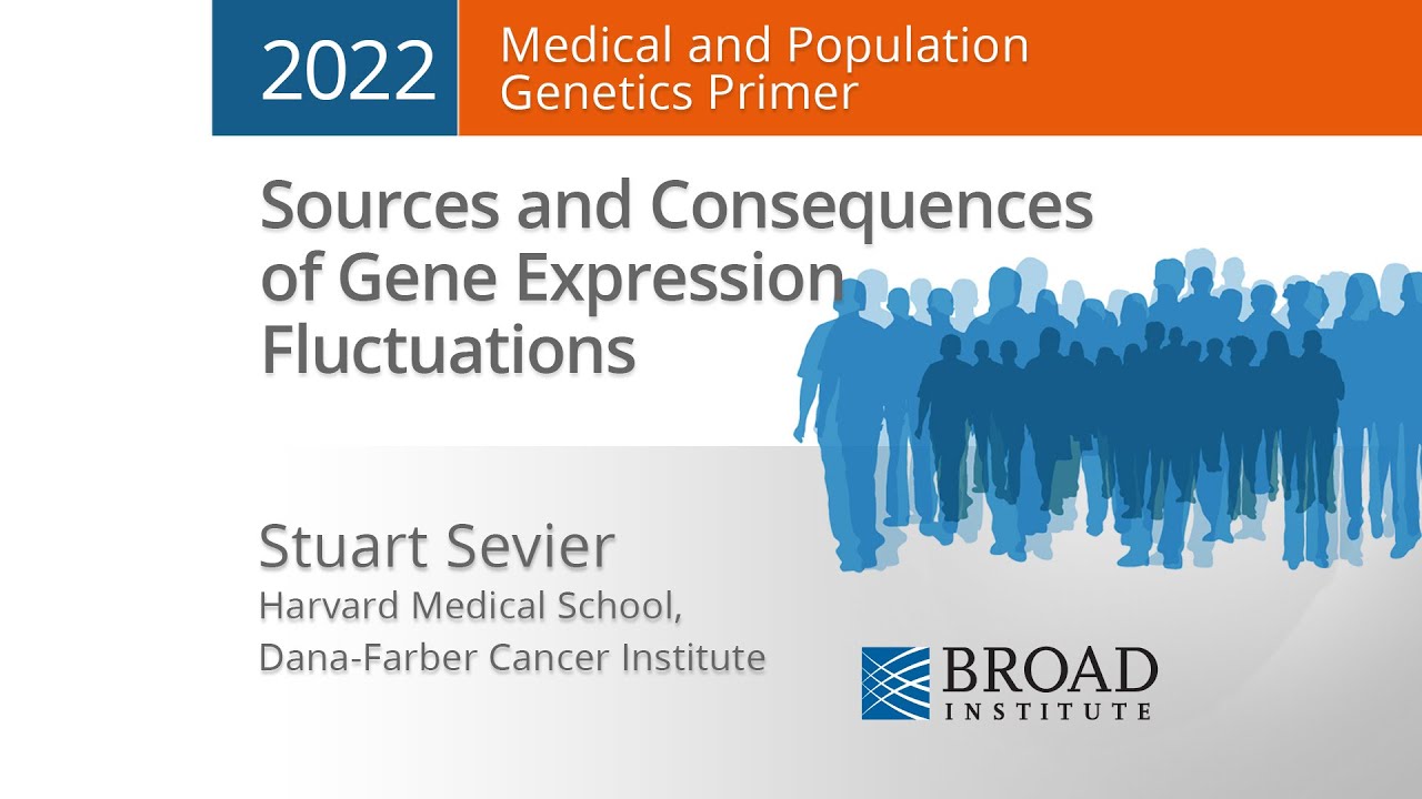 MPG Primer: Sources and Consequences of Gene Expression Fluctuations (2022)
