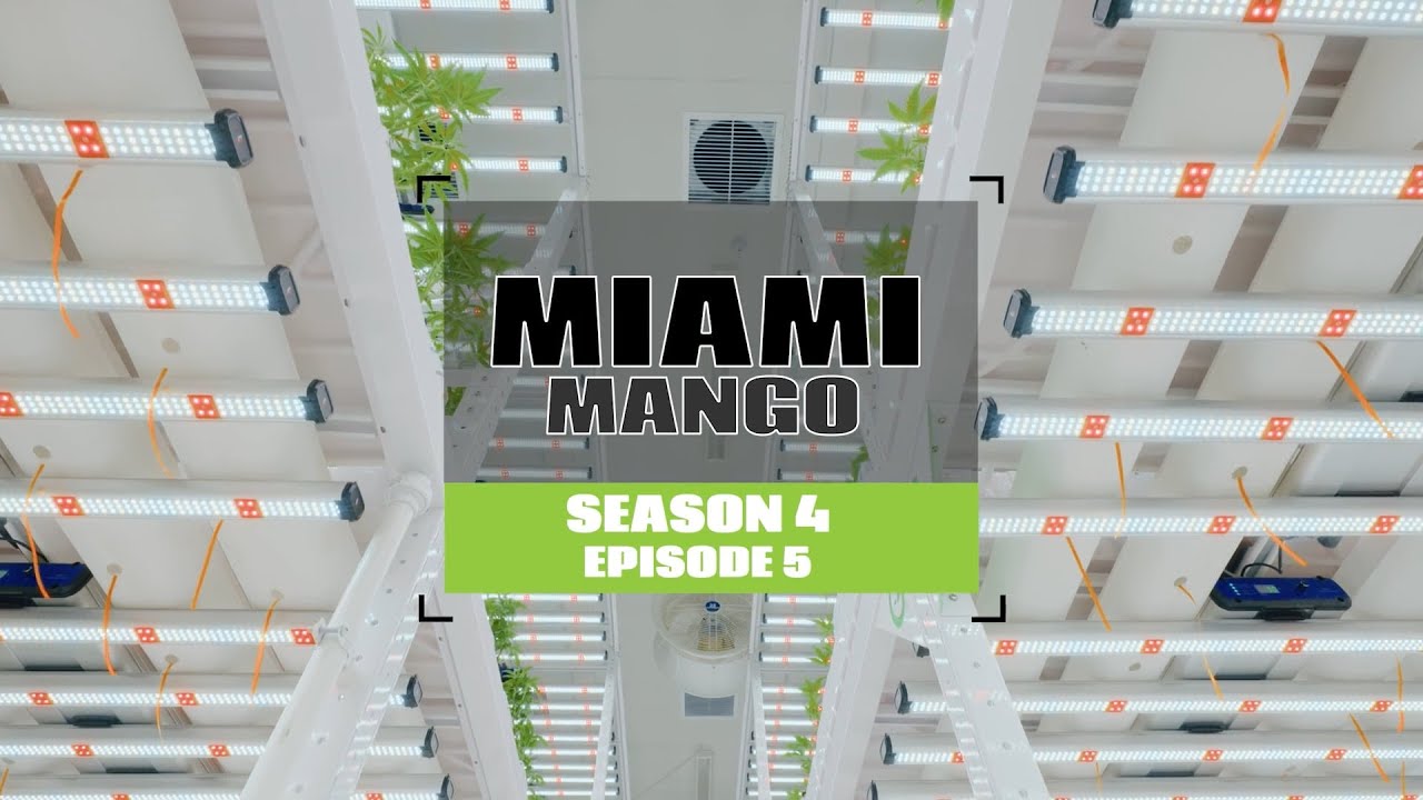 THE WORLDS MOST AMAZING INDOOR GARDEN!! S4 EP5 MIAMI MANGO