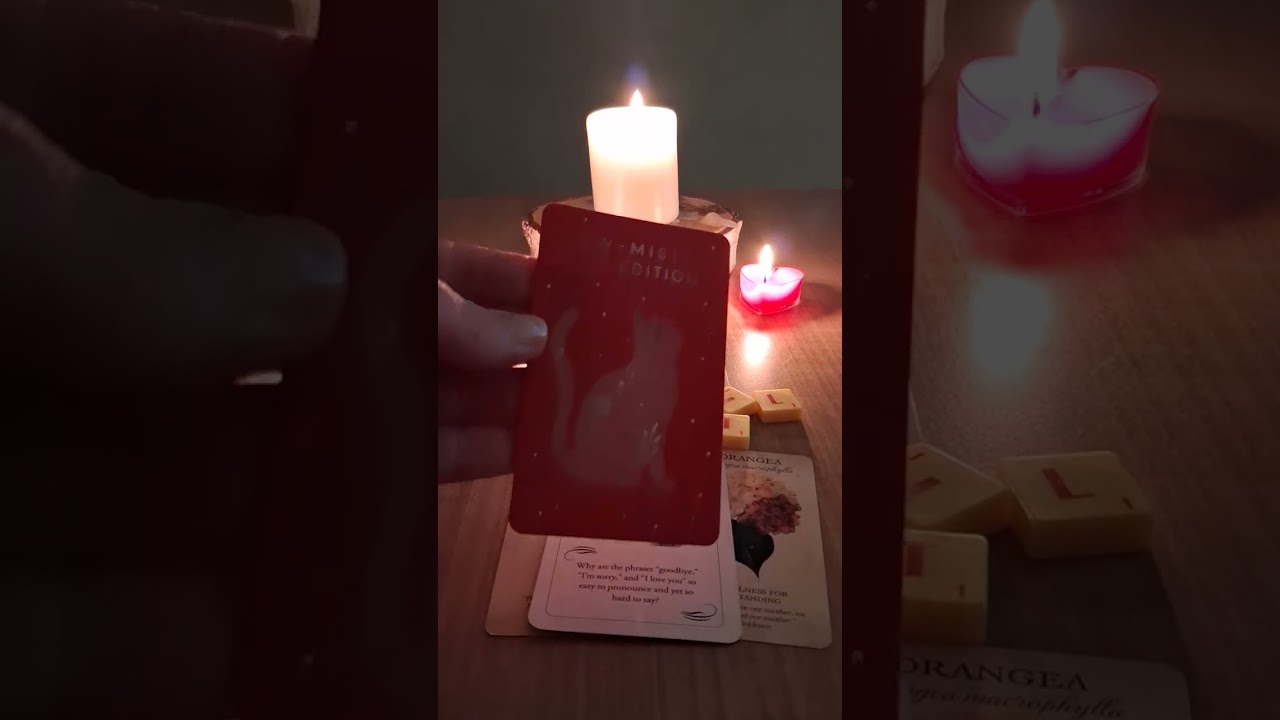 THE JOY OF UNION!!!!! 🍻 👏 ✌️ 🥂 