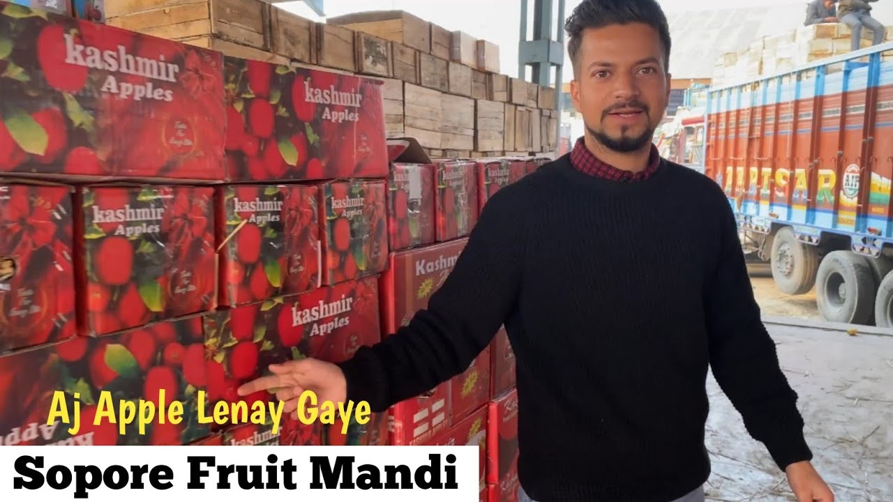 Sopore Fruit Mandi - Ek Baar Zaroor Visit Karein , Promote Your Local Fruit Market