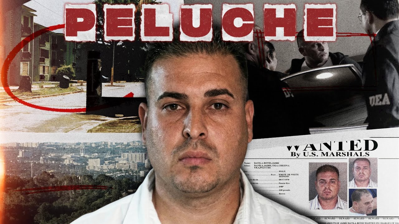 Peluche🩸(Bandidos De Puerto Rico)