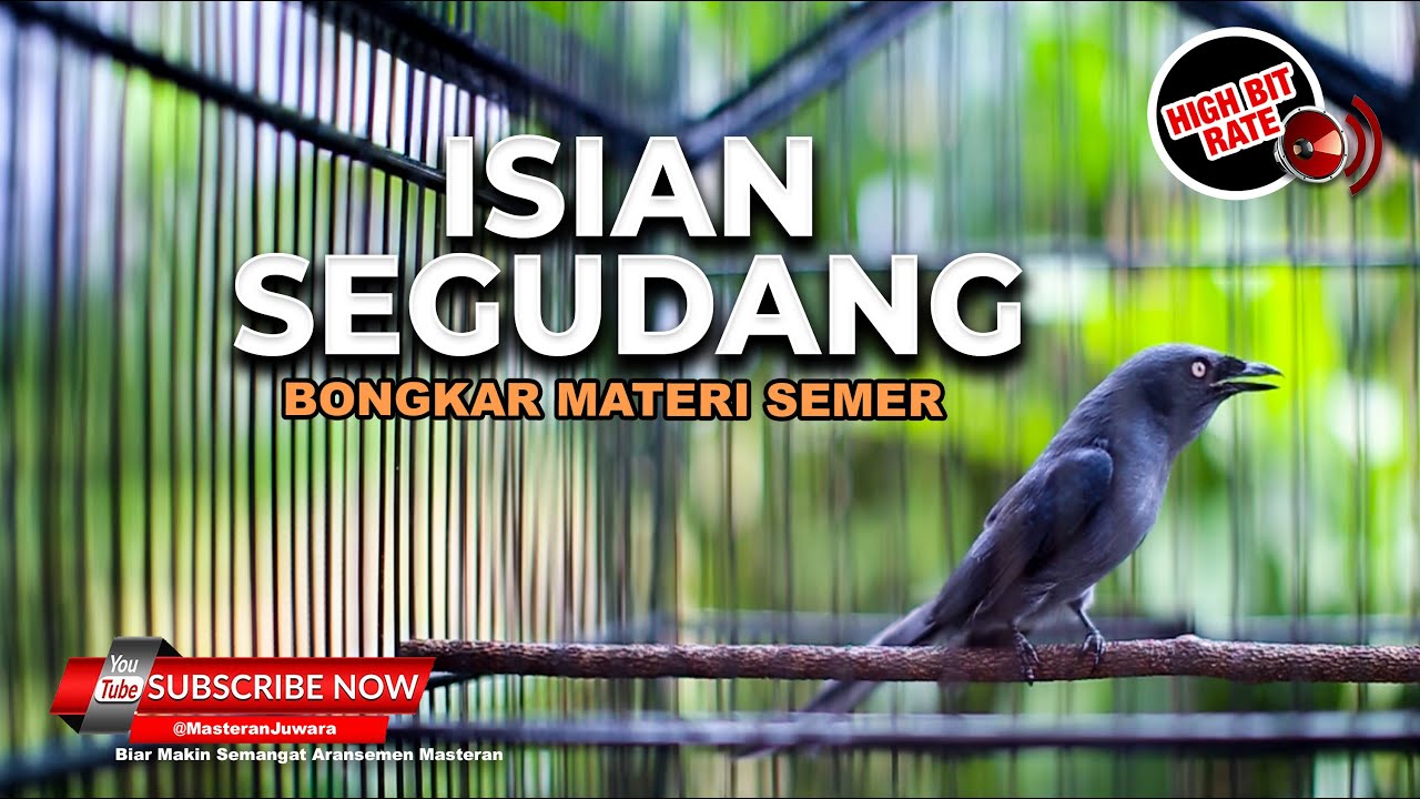 🔴MASTERAN SRIGUNTING ABU ABU GACOR FULL BONGKAR ISIAN