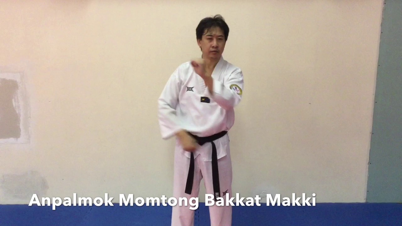 An Palmok Momtong Bakkat Makki - Outward Block