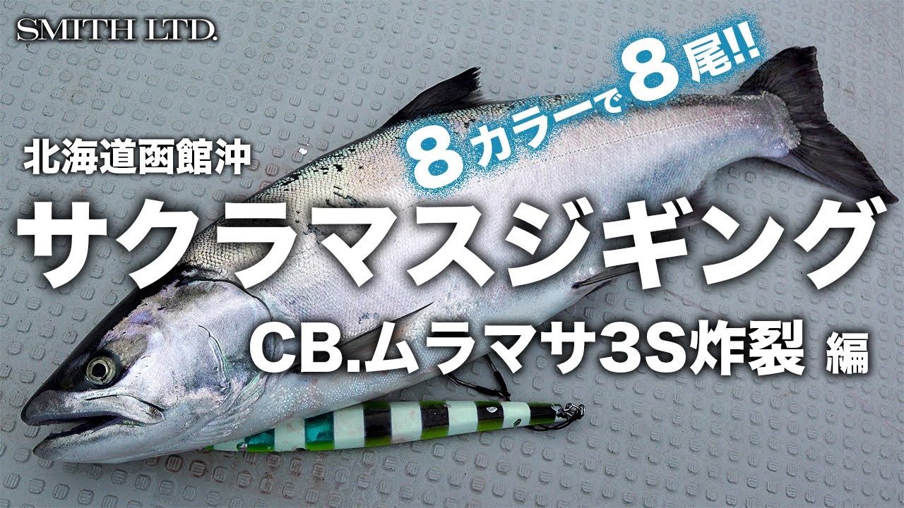北海道函館沖サクラマスジギング（その2）　CB.ムラマサ3S炸裂編