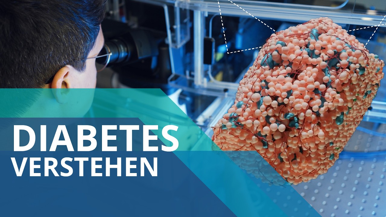 Wie wird Insulin produziert? 🩸 |&nbsp;Kurze Frage &uuml;ber Diabetesforschung & Betazellen