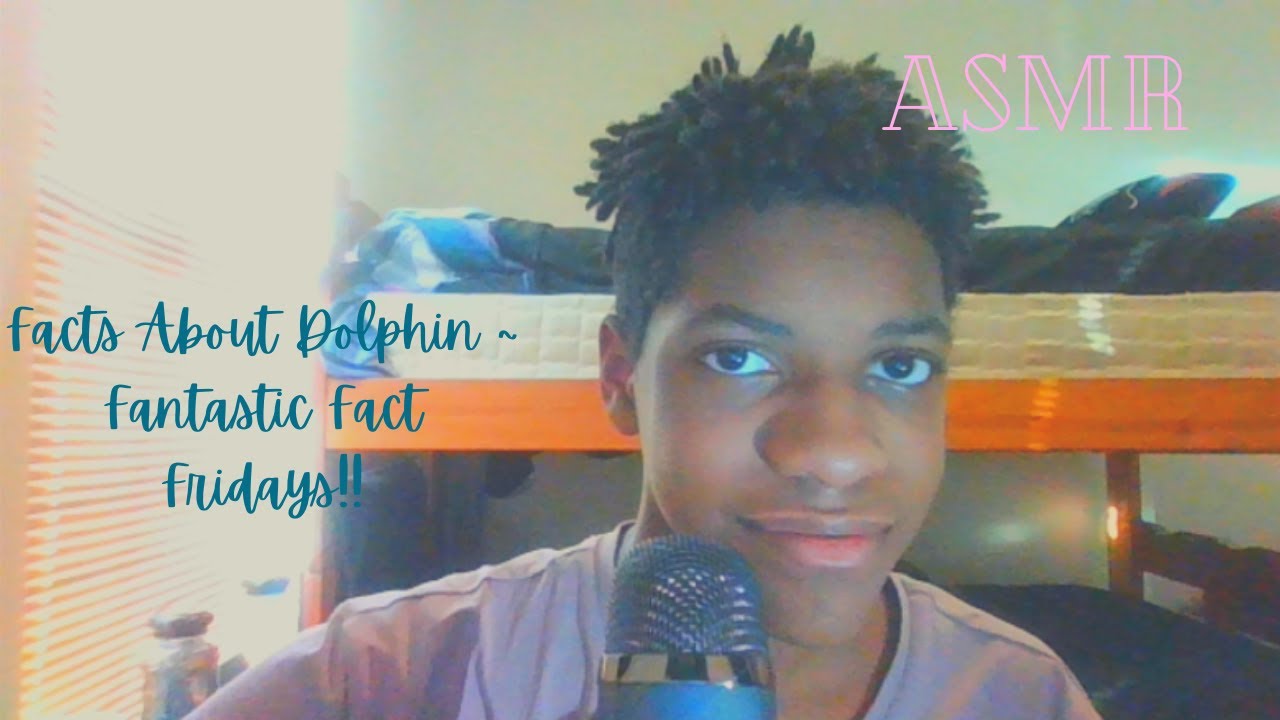 АСМР | Факты о дельфинах ~ Фантастические пятницы фактов !! 