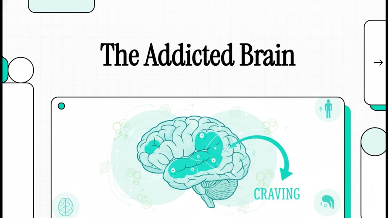 The Hippocampus: Linking Stress to Anhedonia, Addiction, & Relapse (Barr, Bray, Forster, 2018)