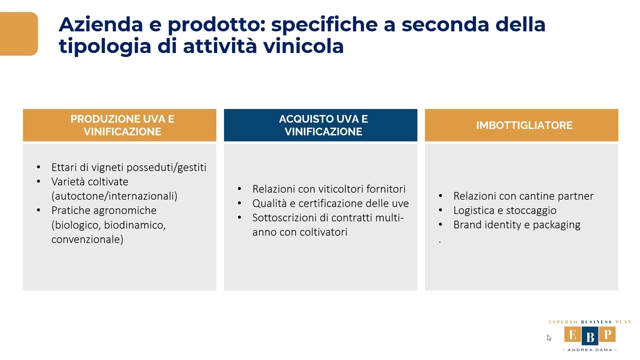 Business Plan di un Azienda Vinicola: guida completa