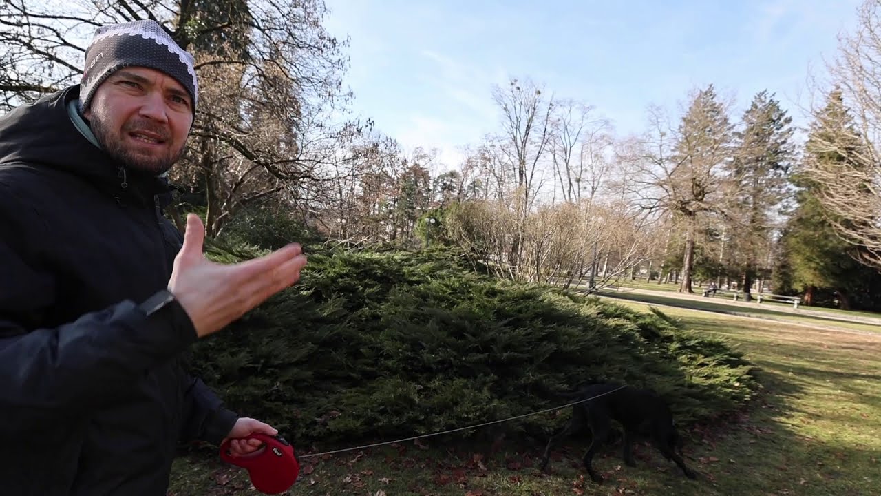 5 nasvetov za boljši sprehod | Ovohavanje? | alfakan