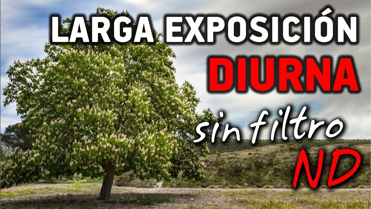 Larga exposición diurna SIN FILTRO ND