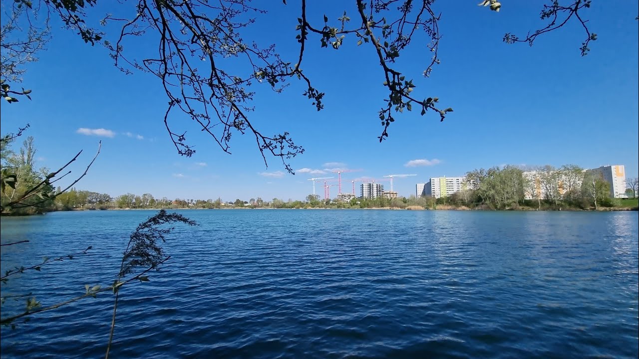 BADETEICH HIRSCHSTETTEN|Wien|@rodenztv