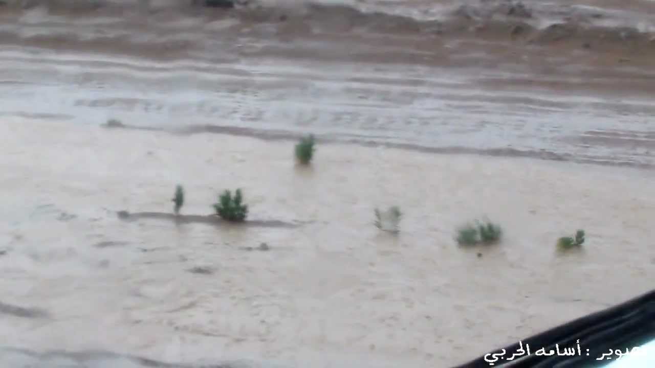 أمطار وصواعق المسيجيد لحضات مرعبه وممتعه