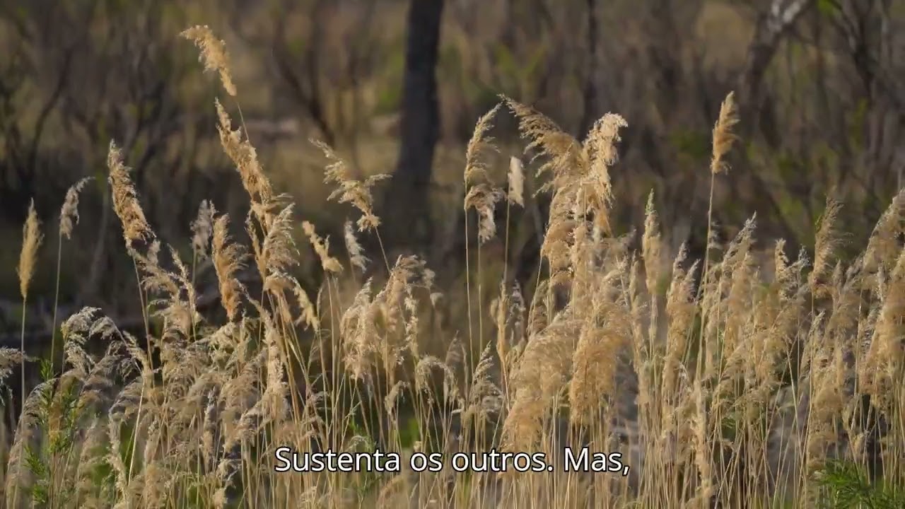 Por que pessoas fortes vivem emocionalmente exaustas?