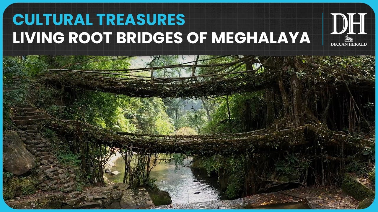 Meghalaya’s Living Root Bridges Submitted for UNESCO World Heritage Status 2026-27