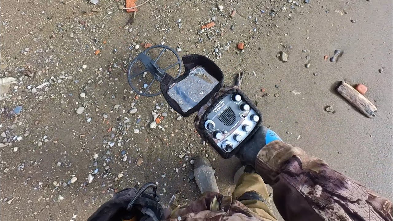 Nexus MP V3 Metal Detector on brackish water shoreline.