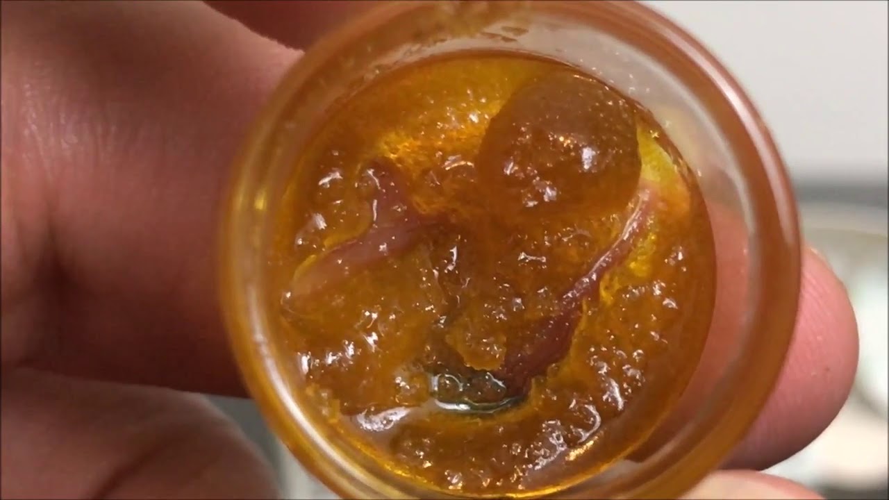 Recreational Cannabis Review of 710 Cheese Terp Sugar By Bodhi High J55H10p1a9A