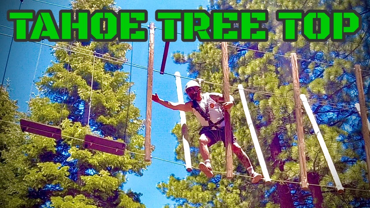TAHOE TREE TOP