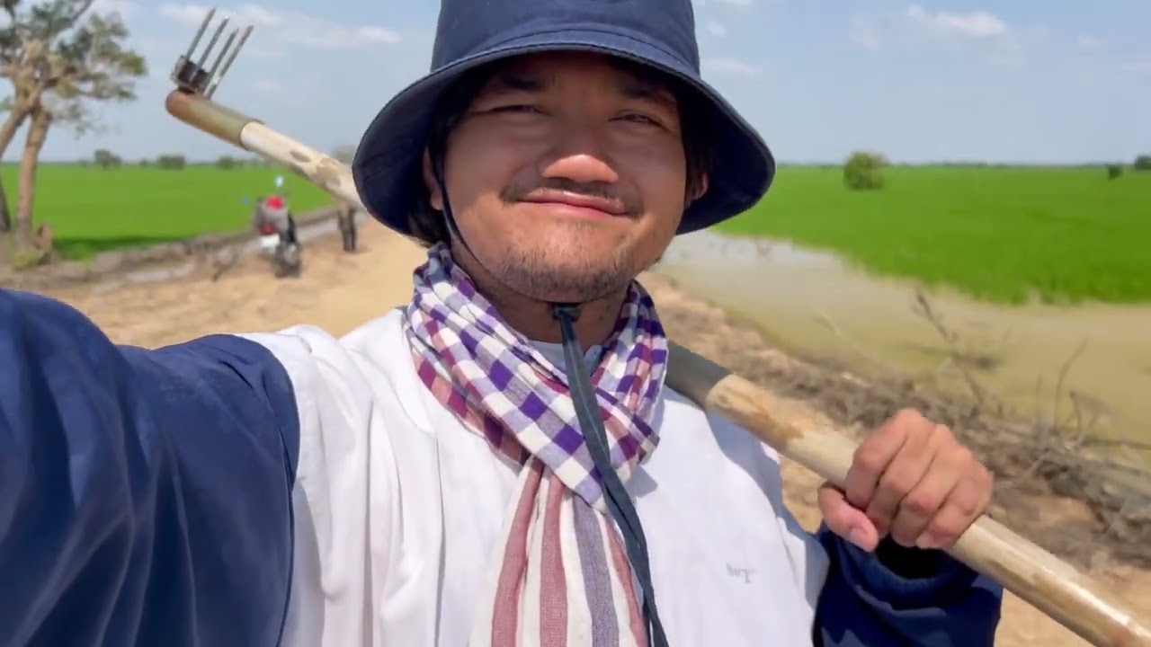 ទេសភាពស្រែក្រោមនាពេលរសៀល#youtubelong 