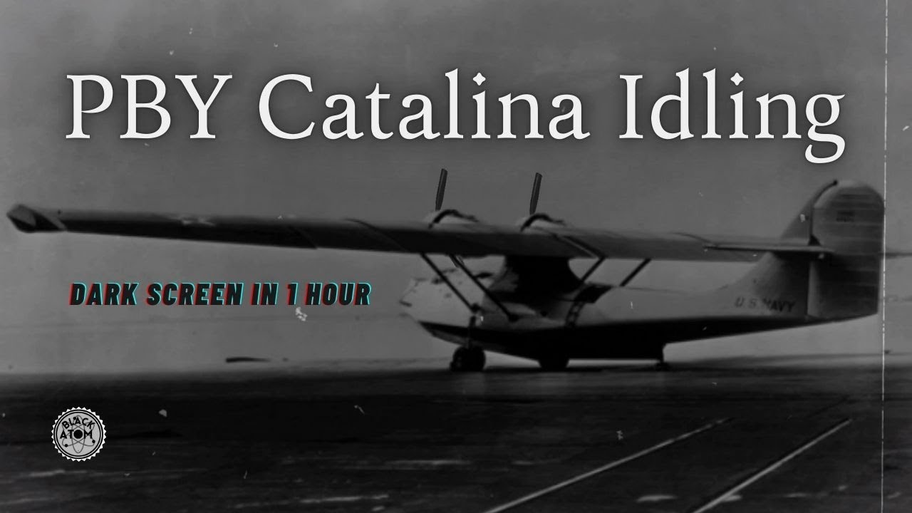 PBY Catalina Plane Idling | Relaxing Aircraft Engine Sounds for Sleep & Focus
