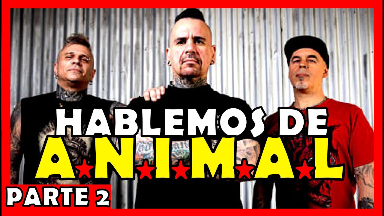 La SEPARACIóN de A.N.I.M.A.L 😥 - CORVATA se va al 