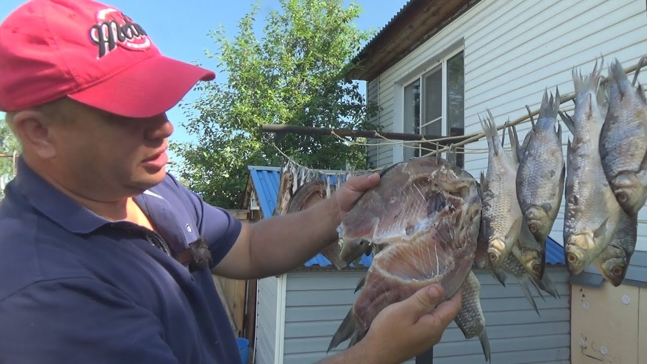 Копчение рыбы. На рыбалку за огороды