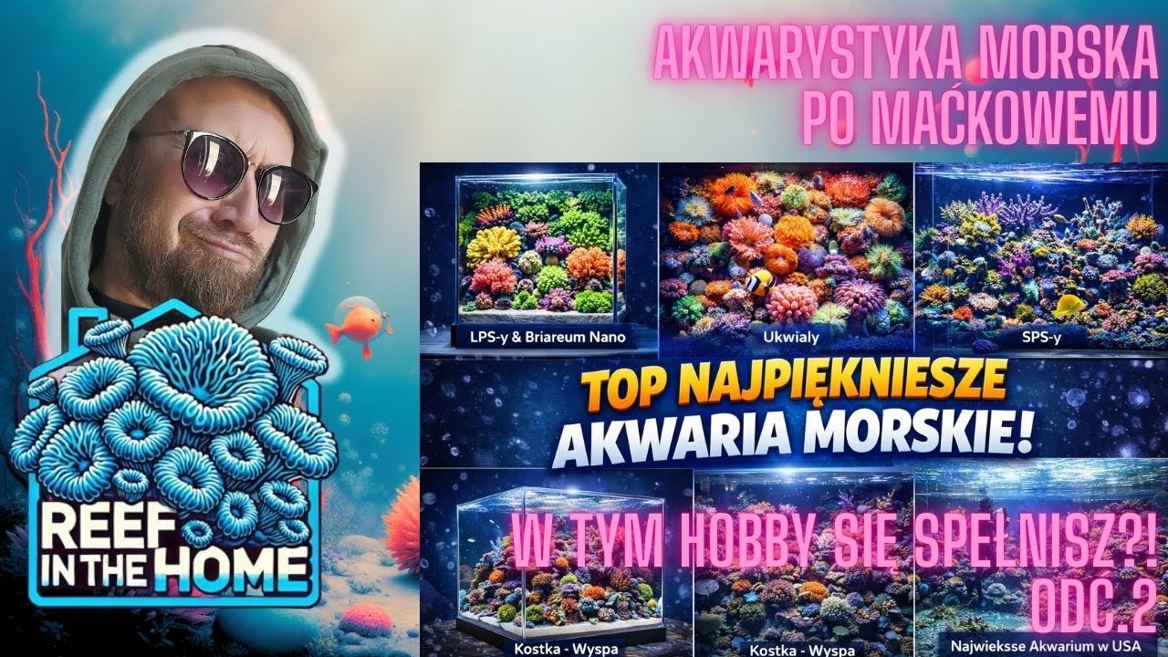To hobby może być dla Ciebie - odcinek 2 - top akwaria morskie według mnie - Akwarystyka Morska