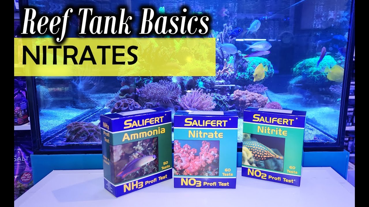 Lets Talk About Aquarium Nitrates: Explained & Testing