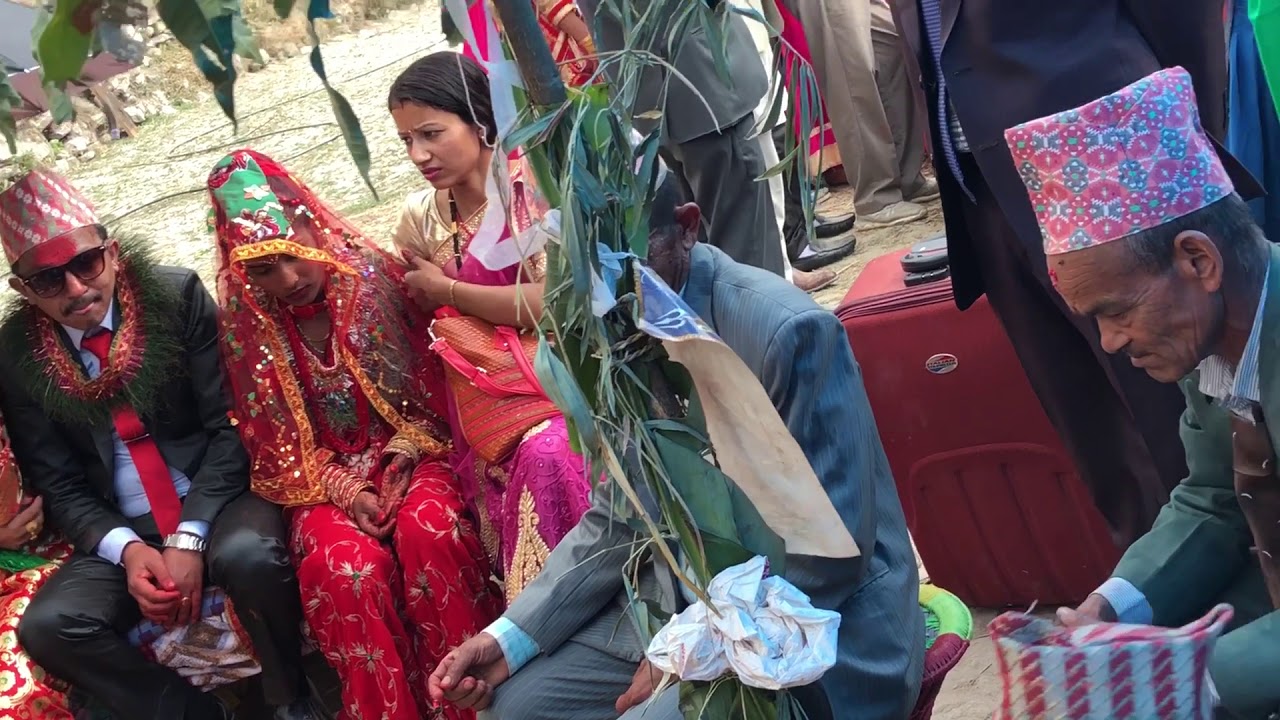 Dhading gumdi Gau ko sis ko BA