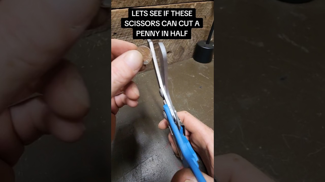 MULTIFUNCTIONAL SCISSORS 