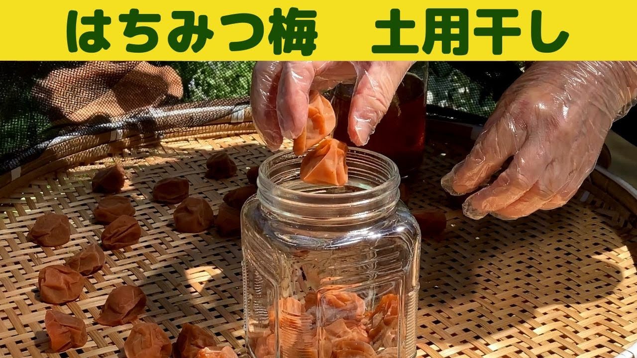 はちみつ梅干しの土用干し/はちみつ梅干し　完成しました/