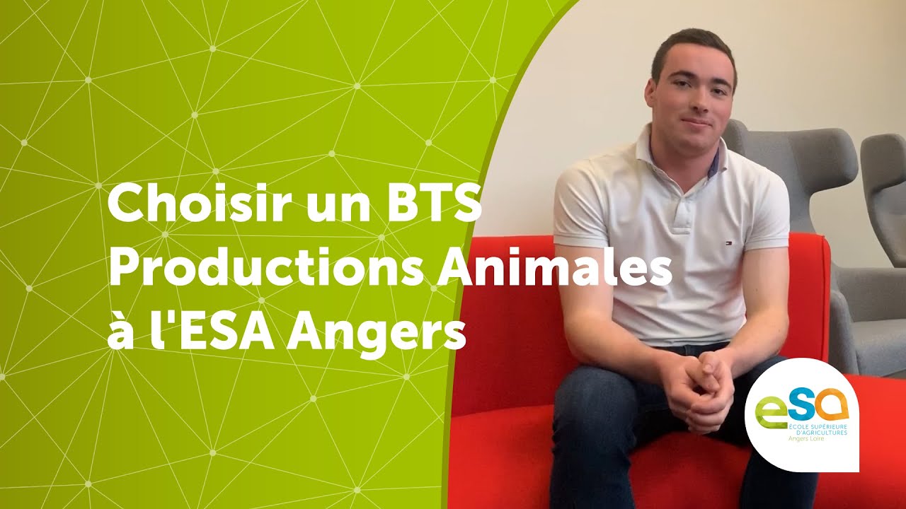 BTS Productions Animales : Nicolas parle de sa formation | ESA Angers