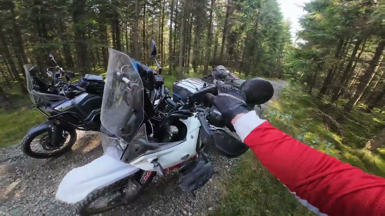 TET Sweden Trip - Days 5 & 6