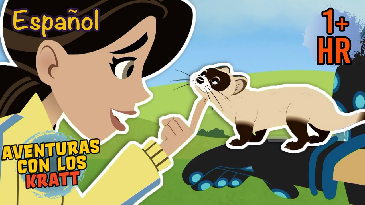 Diversión con hurones [episodios completos] Aventuras con los Kratt