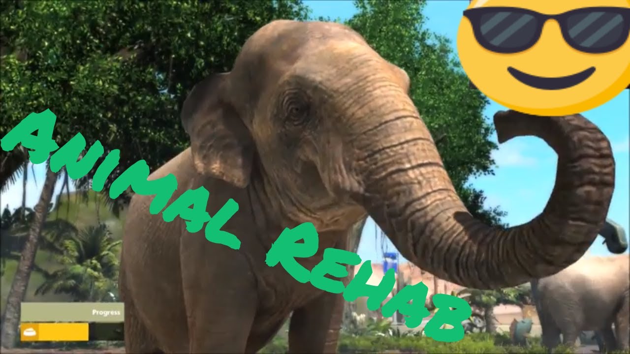 ANIMAL REHAB - Zoo Tycoon Ultimate Animal Collection - 4 + Special Guest