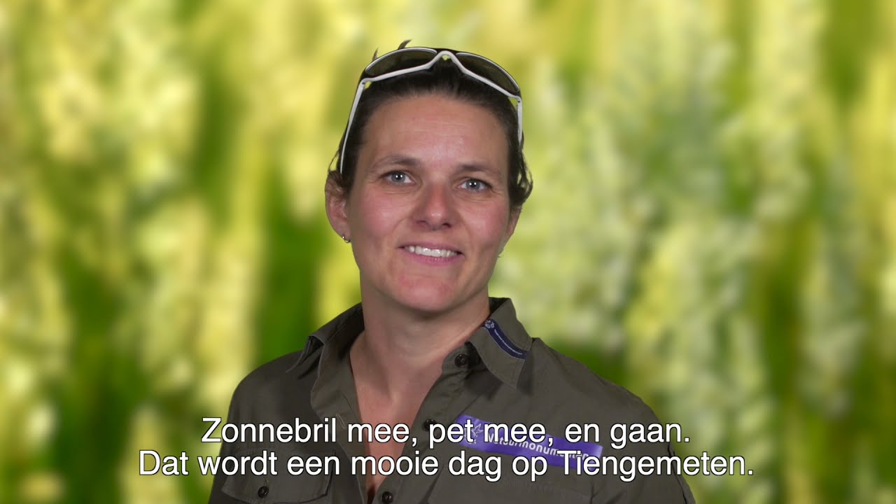 Wat neem je mee als je in de zomer naar Tiengemeten gaat?