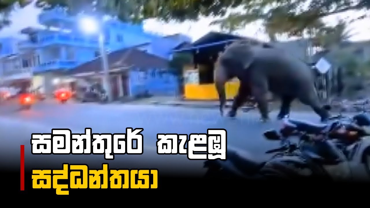 සමන්තුරේ කැළඹූ  සද්ධන්තයා