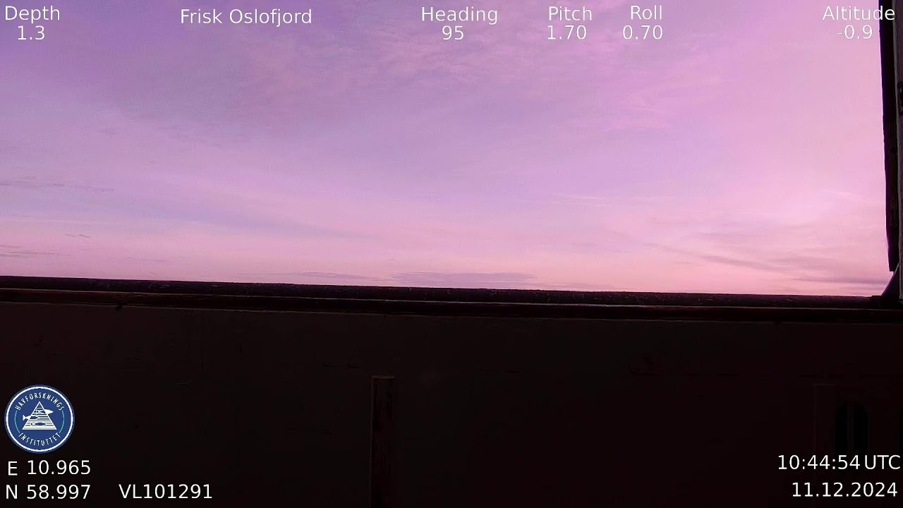 Frisk Oslofjord ROV Freyja LIVE