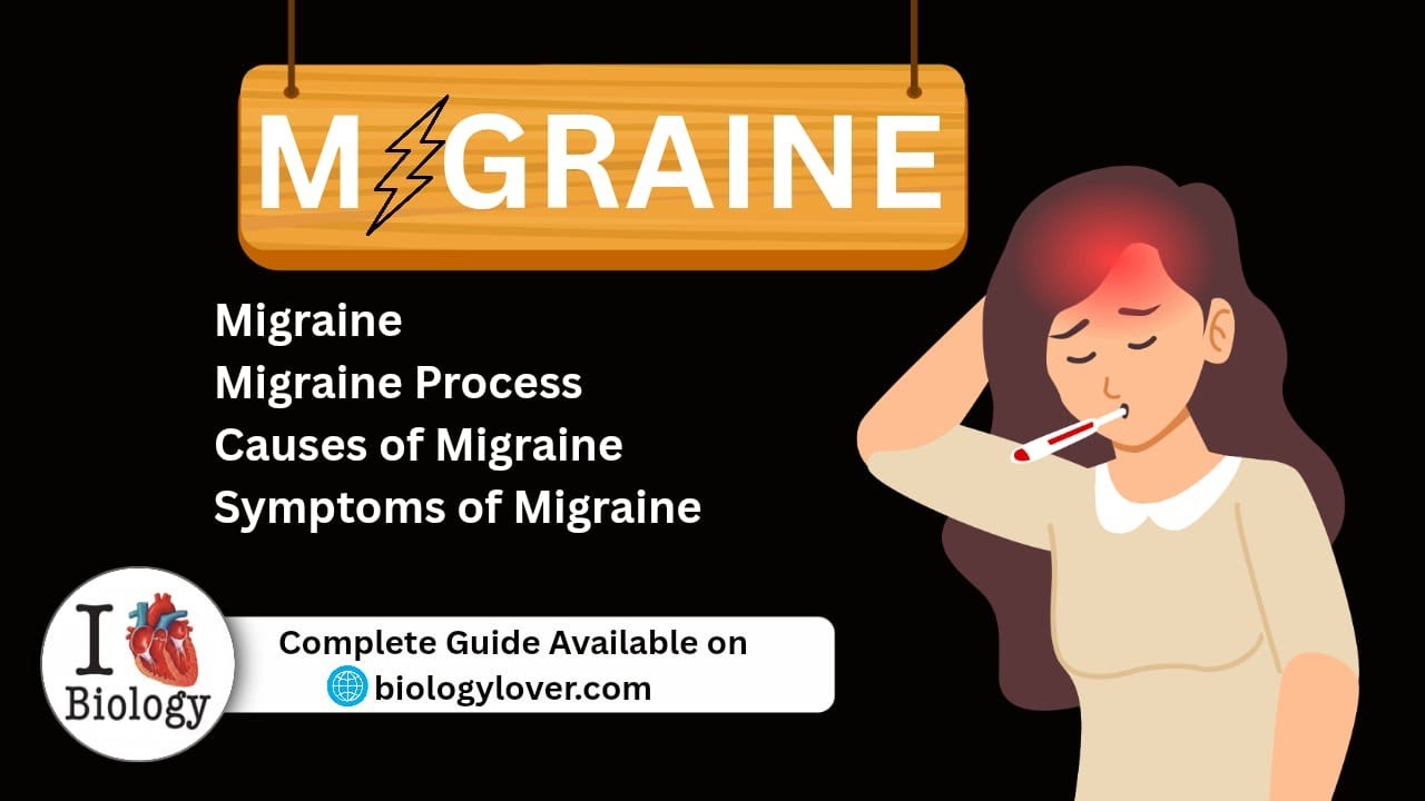 What is Migraine | Process | Cause of Migraine | Symptoms of migraine 