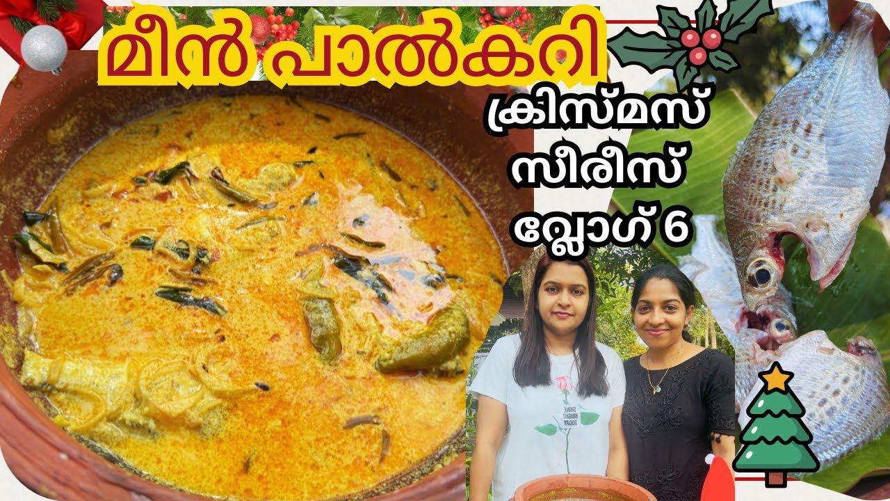 ക്രിസ്മസ് സീരീസ്‌ 2025 വ്ലോഗ് 6//Fish curry മീൻ പാലുകറി #christmas2025 #trending #food 
